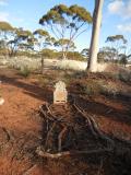 image of grave number 513032